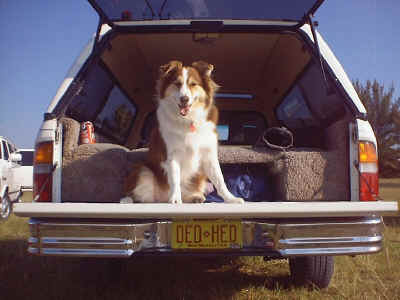 Contact my Grateful Dad